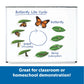 Learning Resources Giant Magnetic Butterfly Life Cycle - Write-and-Wipe Teaching Aids and STEM Decor, Butterfly Life Cycle Models, Dry Erase