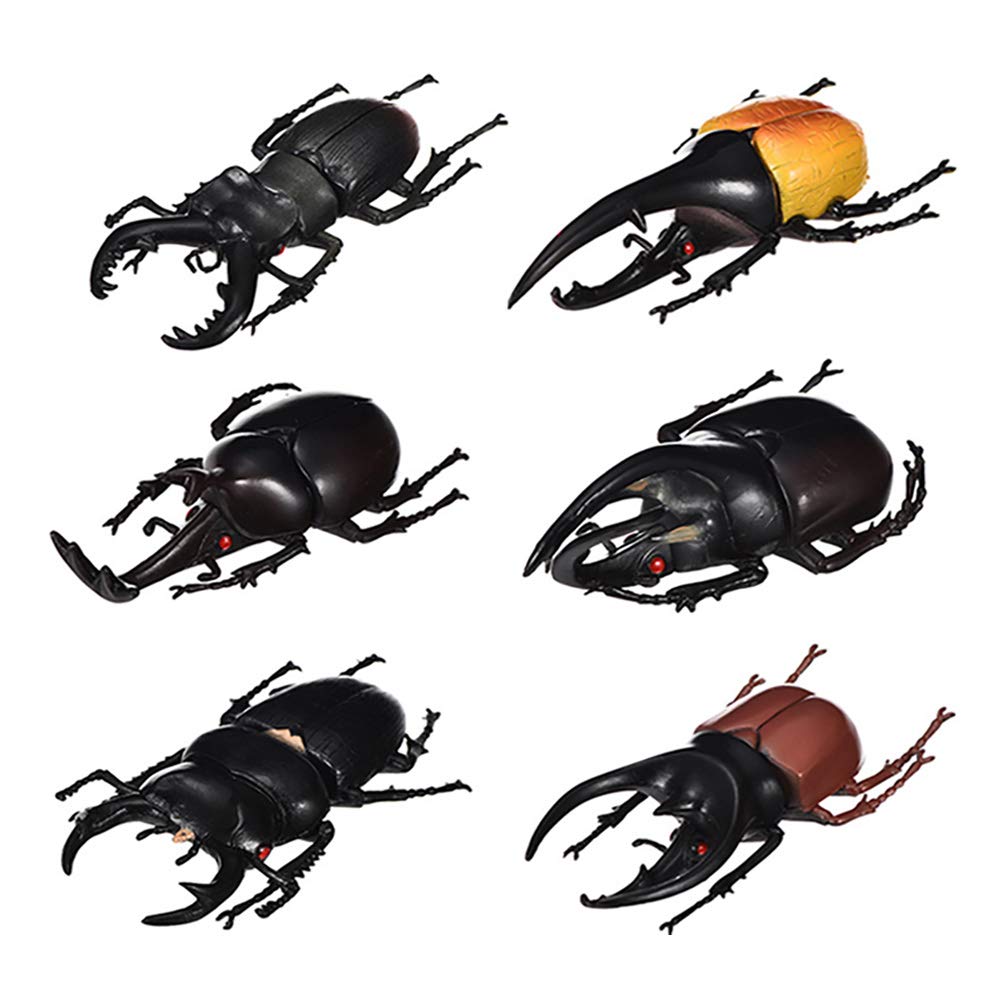 DOYIFUN Pack of 6 Lifelike Beetle Model Toys, Fake Realistic Insect Figures Collection Playset Science Educational Learning Toys for Kids Toddlers