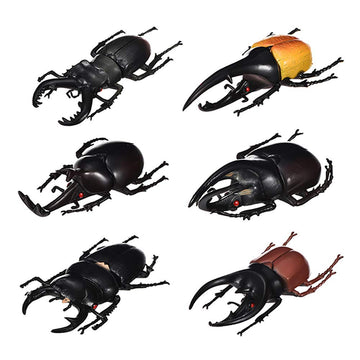 DOYIFUN Pack of 6 Lifelike Beetle Model Toys, Fake Realistic Insect Figures Collection Playset Science Educational Learning Toys for Kids Toddlers