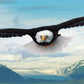 EuroGraphics Eagle Panoramic 1000pc