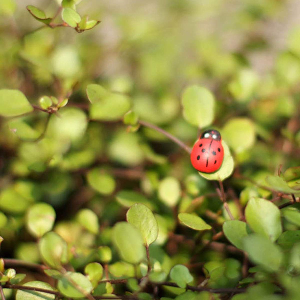 E-outstanding 100-Pack Wooden Ladybug Stickers 3D Micro Red Ladybird Flatback Self-Adhesive Stickers DIY Wedding Scrapbook Craft