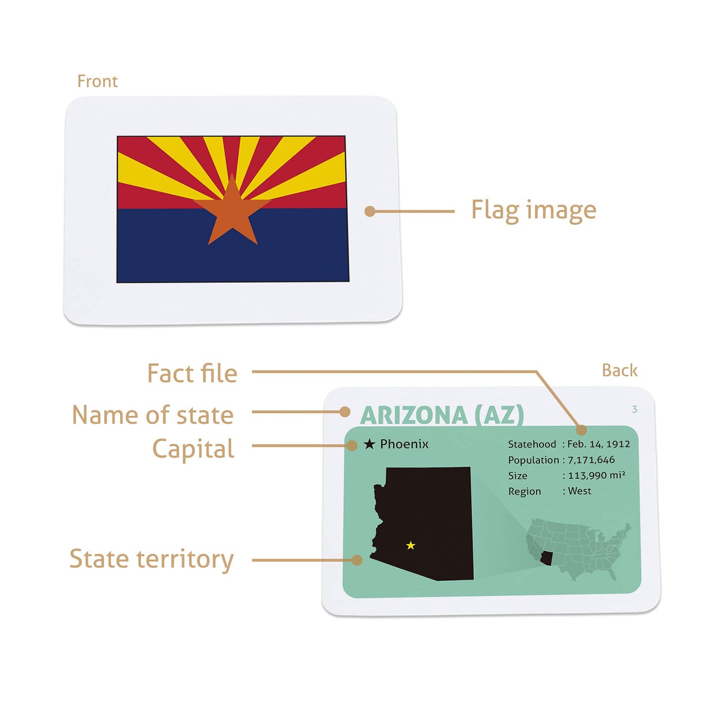 CARDDIA | U.S. State Flags Flashcards | 50 States with Names, Abbreviations, Capitals & Facts | Educational & Durable | Geography Learning Tools