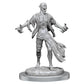 Dungeons & Dragons Nolzur's Marvelous Unpainted Miniatures: Nosferatu