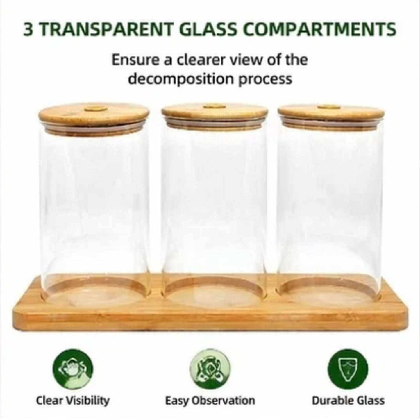 Science Education Worm Compost Experiment bin, Waste Decomposition into composting kit, ant Farming Plant