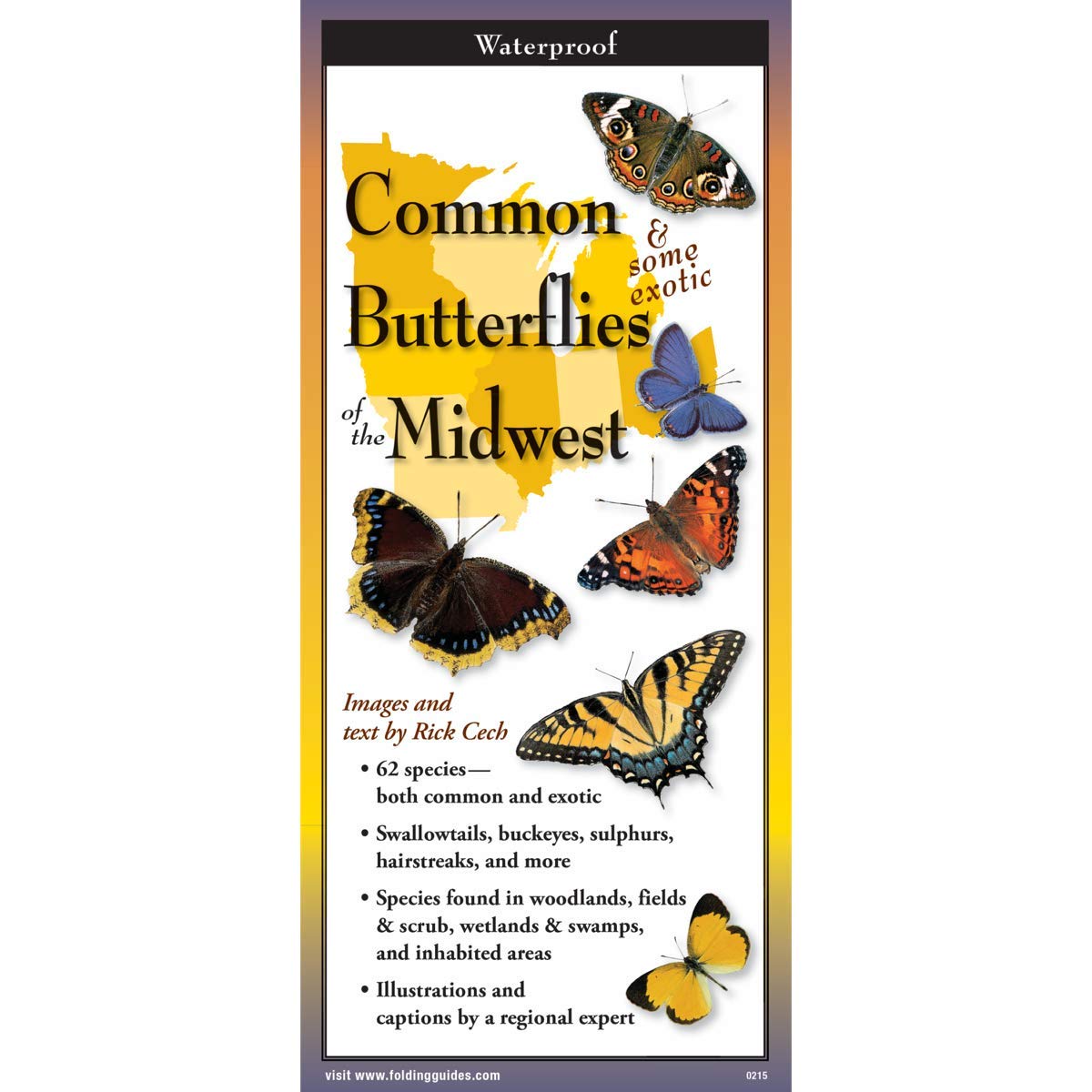 Earth Sky + Water FoldingGuide� - Common Butterflies of the Midwest - 10 Panel Foldable Laminated Nature Identification Guide