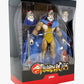 Super7 Thundercats: Jaga The Wise Ultimates Action Figure, Multicolor