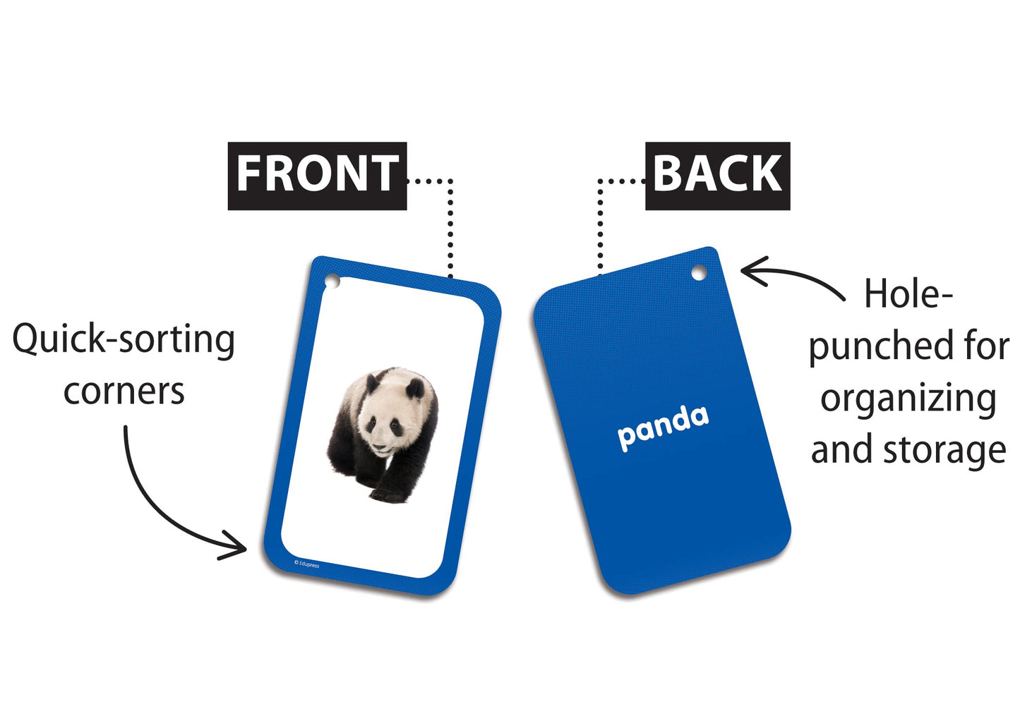 Categories Flash Cards (EP62079)