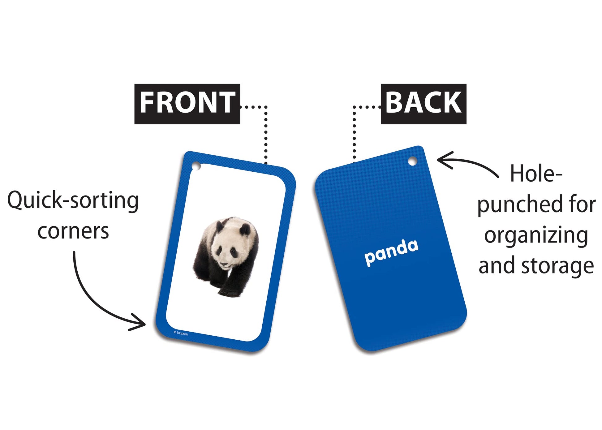 Categories Flash Cards (EP62079)