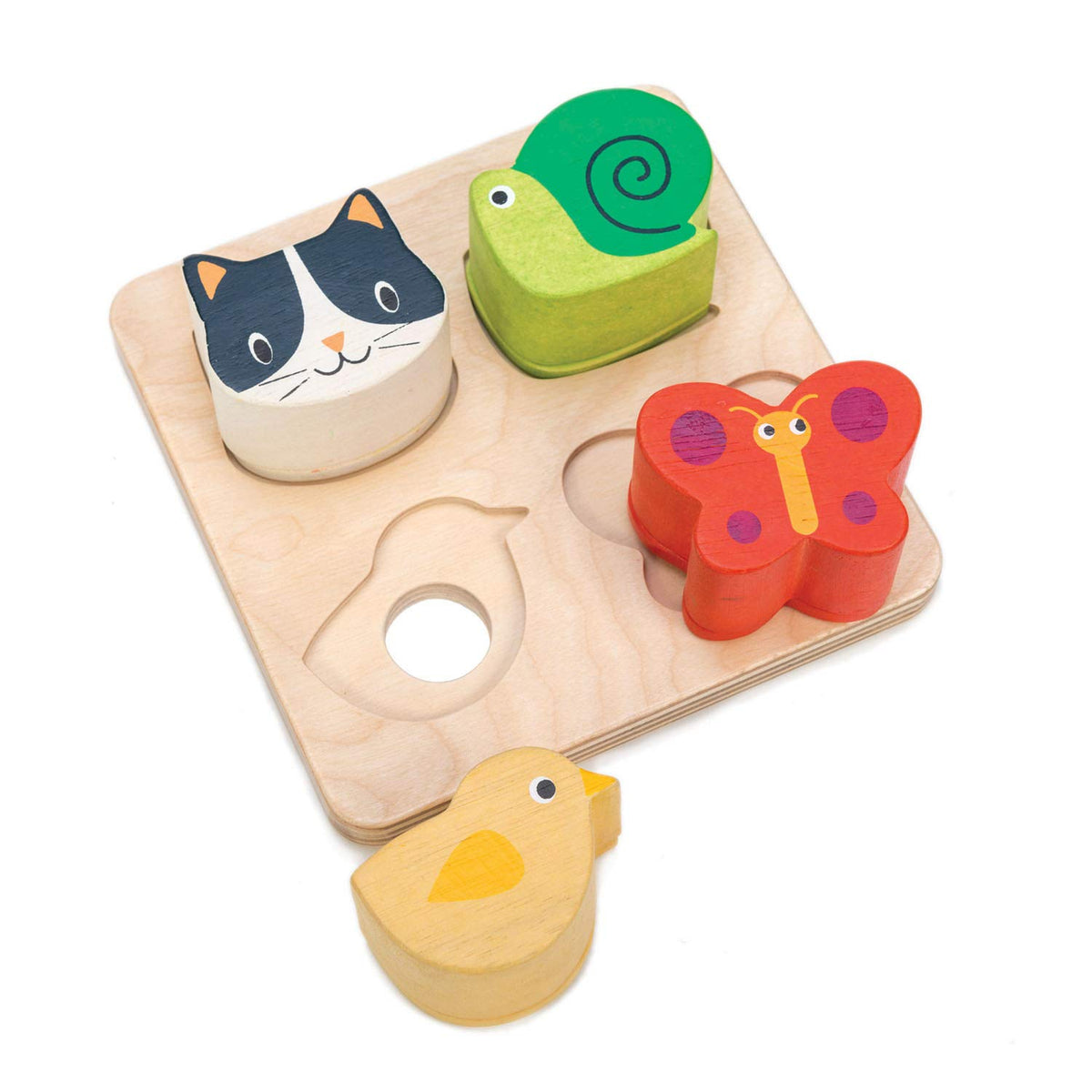 Tender Leaf Toys - Sensory Trays - Baby Blocks, Shape Sorter, STEM Learning Shape Identification Sorting Game Toy for Kids 18 Month + (Touch Sensory