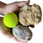 Two XL Whole Break Your Own Geodes Combo Pack - Mexican Trancas | Moroccan Quartz
