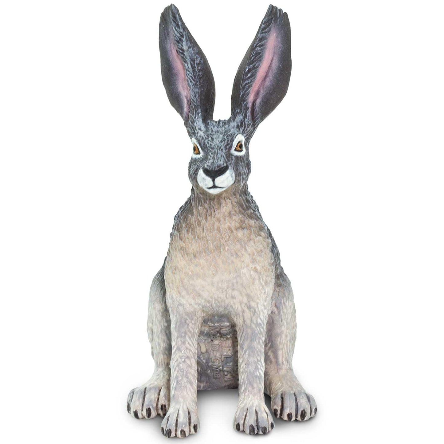 Safari Ltd. American Desert Hare Figurine - Detailed 3" Plastic Model Figure - Fun Educational Play Toy for Boys, Girls & Kids Ages 3+
