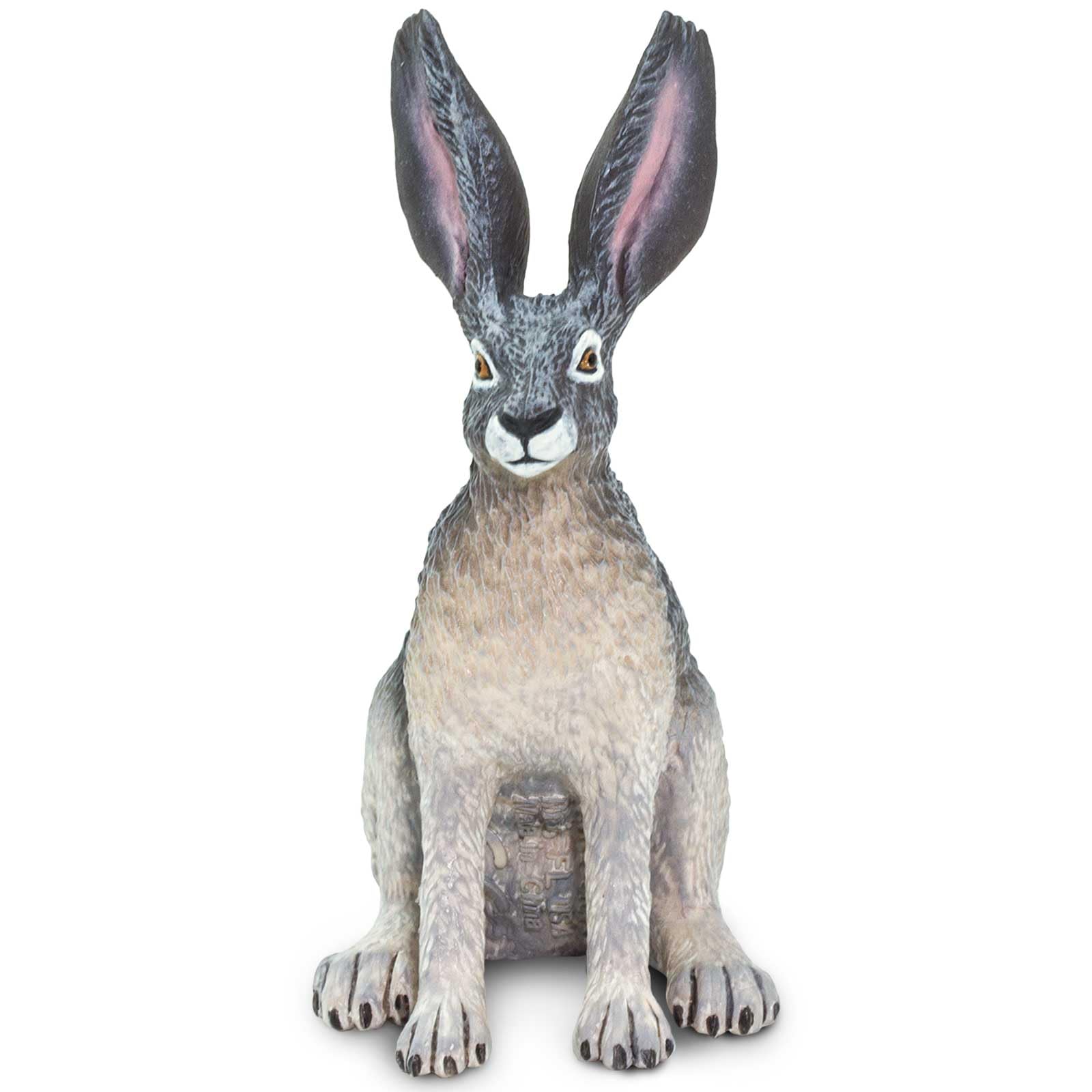 Safari Ltd. American Desert Hare Figurine - Detailed 3" Plastic Model Figure - Fun Educational Play Toy for Boys, Girls & Kids Ages 3+
