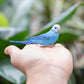 Safari Ltd. Blue Budgie Figurine - Detailed 3" Plastic Model Figure - Fun Educational Play Toy for Boys, Girls & Kids Ages 3+