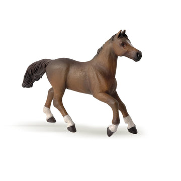 Papo - Realistic Anglo-Arabian Mare Figure - Ages 3+ - Horses Collection - Creative Play Equestrian World - Gift Idea Toy for Girls and Boys