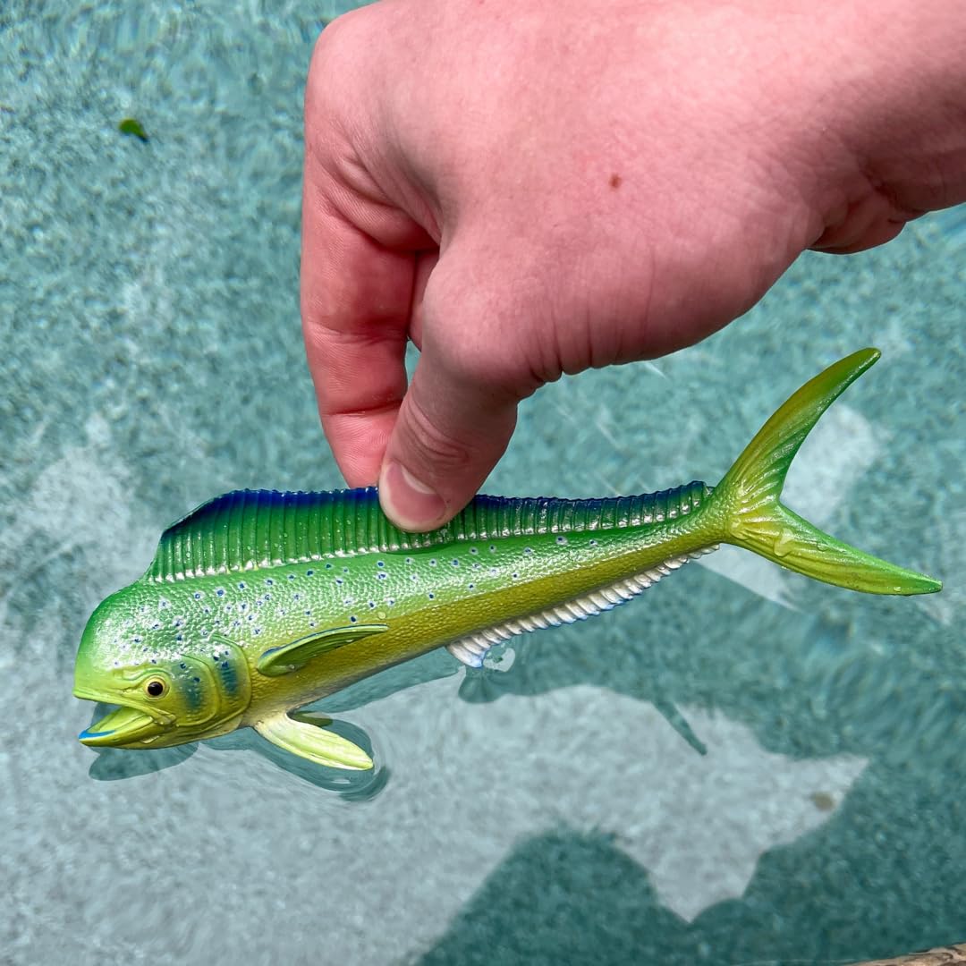 Safari Ltd. Mahi-Mahi Figure - Realistic 6.5" Fish Model - Educational Toy for Boys, Girls, and Kids Ages 3+