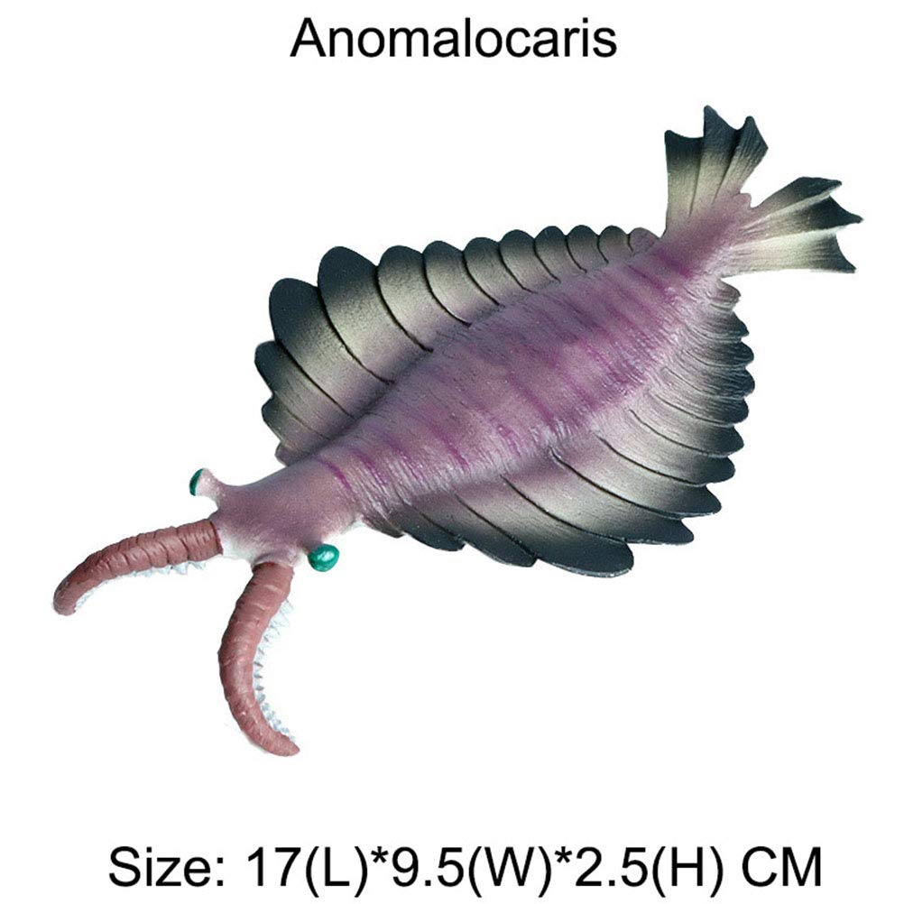 FLORMOON Animal Figures 5 pcs Realistic Plastic Cambrian Ancient Organism Set Includes Anomalocaris, Opabinia, etc. Science Project, Learning