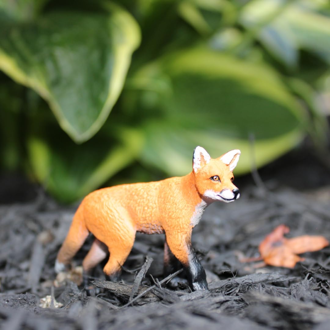 Safari Ltd. Red Fox Kit Figure - Realistic 2.75" Animal Model - Educational Toy for Boys, Girls, and Kids Ages 3+