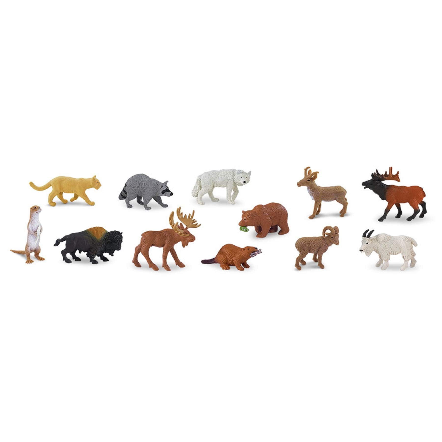 Safari Ltd. North American Wildlife TOOB - 12 Hand-Painted Mini Figurines Including Grizzly Bear, Bison, Moose, & More - Educational Toy Figures