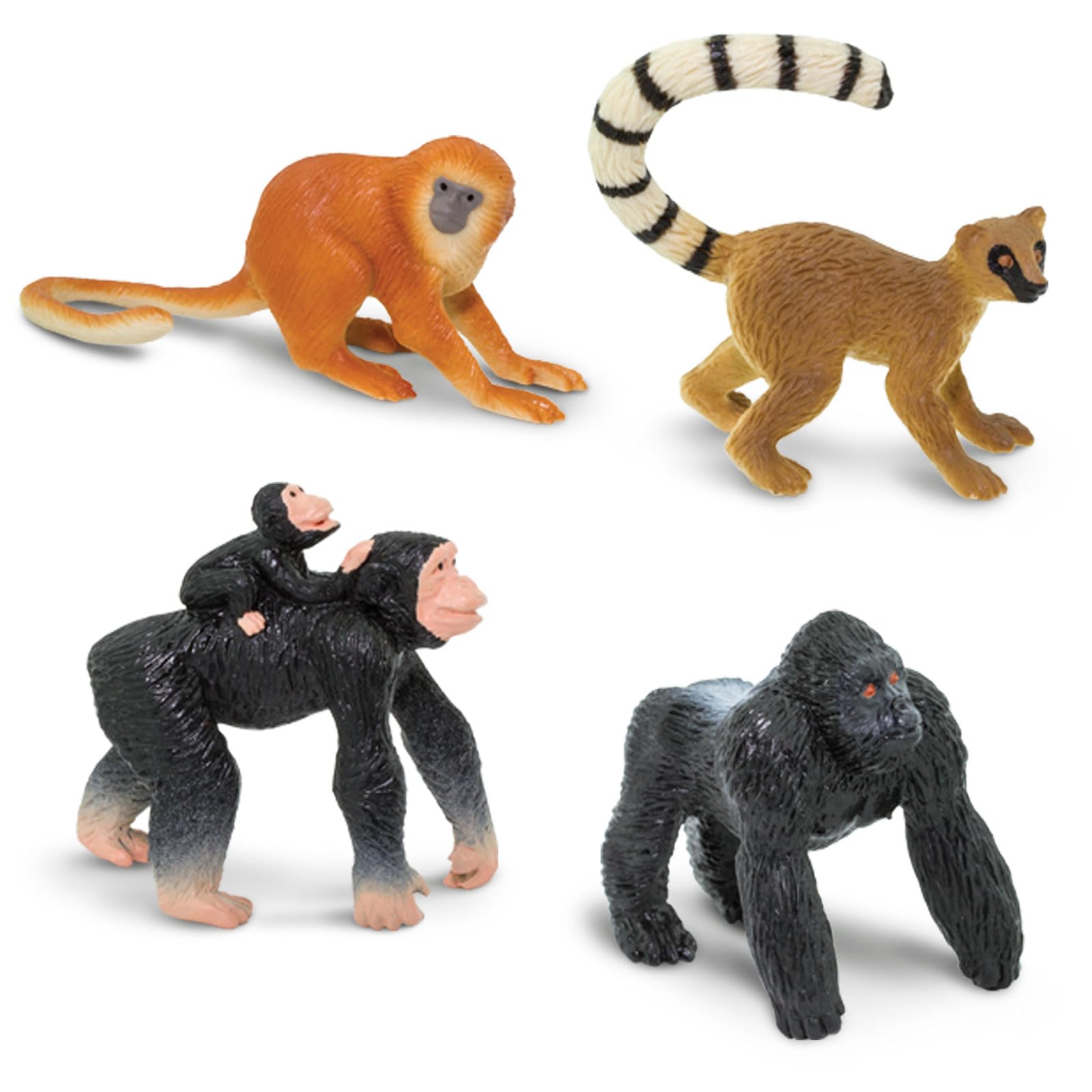 Safari Ltd. Apes & Monkeys TOOB - 12 Figurines: Baboon, Orangutan, Tamarin, Lemur, Gorilla, Mandrill, Chimp, Squirrel, Spider, & Woolly Monkeys
