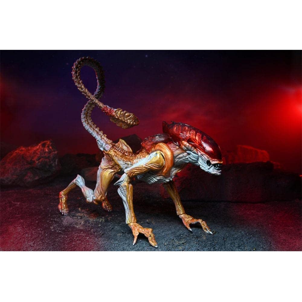 Aliens - 7" Scale Action Figure - Ultimate Kenner Tribute Panther Alien