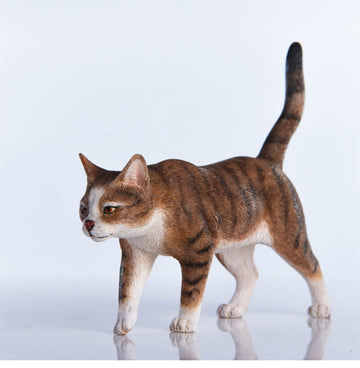 Lana Toys WLNTDOLA 1:6 Scale Chinese Garden Cat Pet Healing Figure Realistic Animal Model