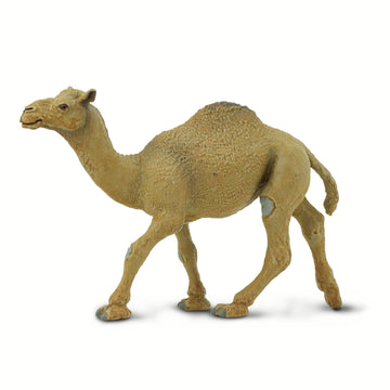 Safari Ltd. Dromedary Camel Figurine - Lifelike, Hand-Painted 5.75" Model Figure - Educational Toy for Boys, Girls & Kids Ages 3+