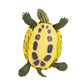 Safari Ltd. Red-Eared Slider Turtle Figurine - Realistic 5.25" Model Figure - Educational Toy for Boys, Girls, and Kids Ages 18M+