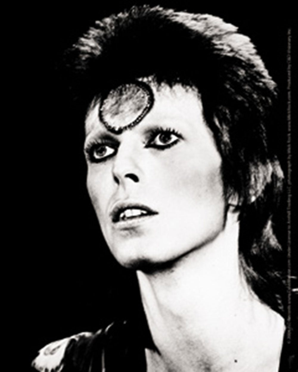C&D Visionary Licenses Products David Bowie Black and White Sticker