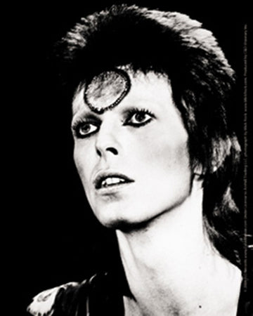 C&D Visionary Licenses Products David Bowie Black and White Sticker
