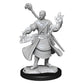 D&D Nolzur's Marvelous Miniatures: Half-Elf Wizard Male