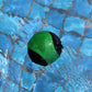 Airoads Water Bouncing Ball - 2 Pack Stress Relief Ball for Swimming, Beach & Outdoor Activity (Yellow + Green, 5.5cm)