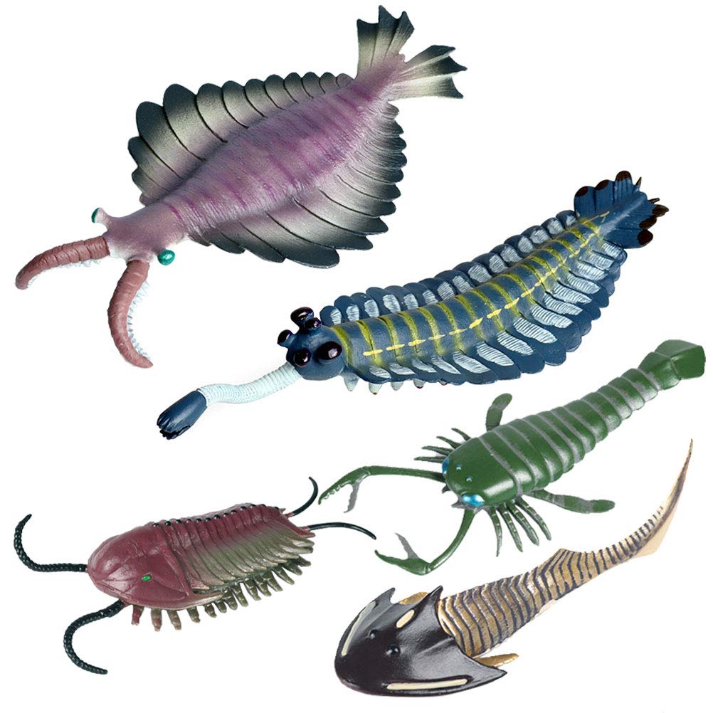 FLORMOON Animal Figures 5 pcs Realistic Plastic Cambrian Ancient Organism Set Includes Anomalocaris, Opabinia, etc. Science Project, Learning