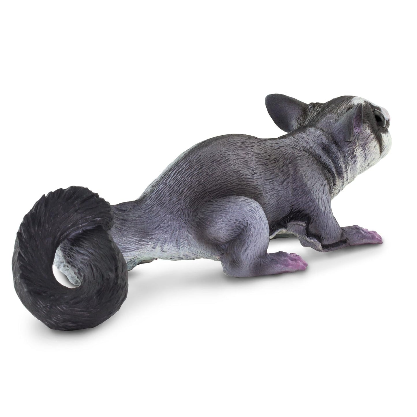 Safari Ltd. Sugar Glider Figurine - Hand-Painted, Lifelike Model Figure 6.75" - Fun Educational Marsupial Toy for Boys, Girls & Kids Ages 3+