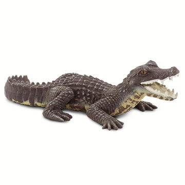 Safari Ltd. Caiman Figurine - Realistic 5" Reptile Figure - Educational Toy for Boys, Girls, and Kids Ages 3+