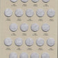 New Harris Buffalo Nickel 1913 - 1938 Coin Folder 2678
