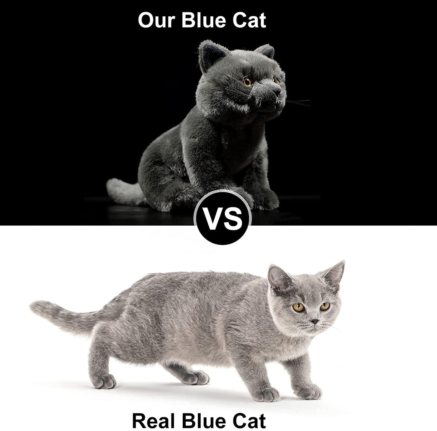 ZHONGXIN MADE British Short Cat Stuffed Animal - 11 inch Plush Toy Grey Cat, Soft Toy Cat for Kids (British Shorthair Cat 2)