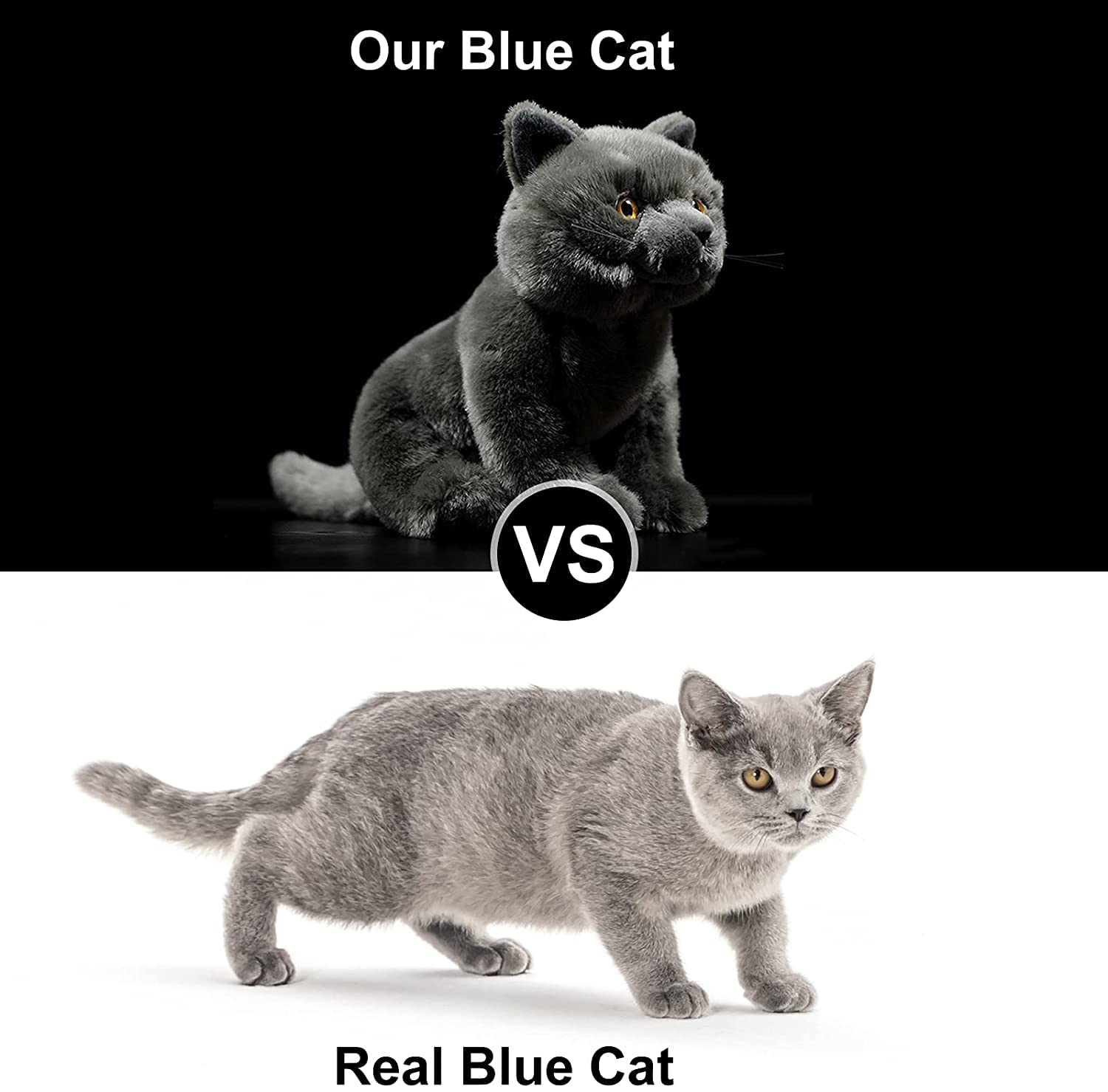 ZHONGXIN MADE British Short Cat Stuffed Animal - 11 inch Plush Toy Grey Cat, Soft Toy Cat for Kids (British Shorthair Cat 2)