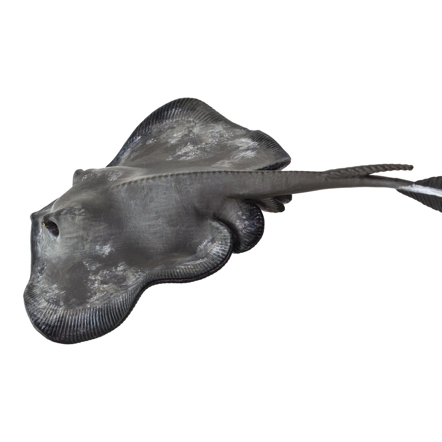 Safari Ltd. Common Stingray Figurine - Lifelike 7" Model Figure - Educational Toy for Boys, Girls, and Kids Ages 3+