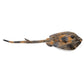 Wild Republic Cuddlekins Southern Ray Stuffed Animal - 12"