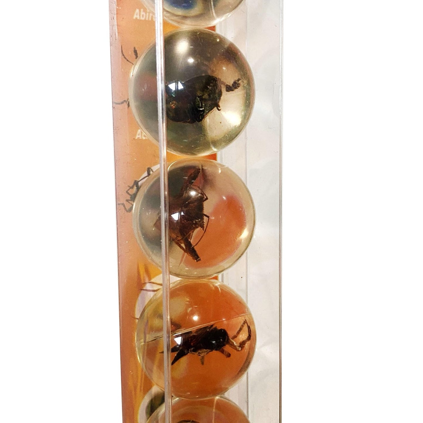 Safari Ltd. Geoworld Bug Marbles - Set of 8 Marbles 1 Inch with Real Insect Specimens