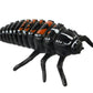 Insect Lore Ladybug Life Cycle - 4 PC Insect Figure Shows Life Of Lady Bug