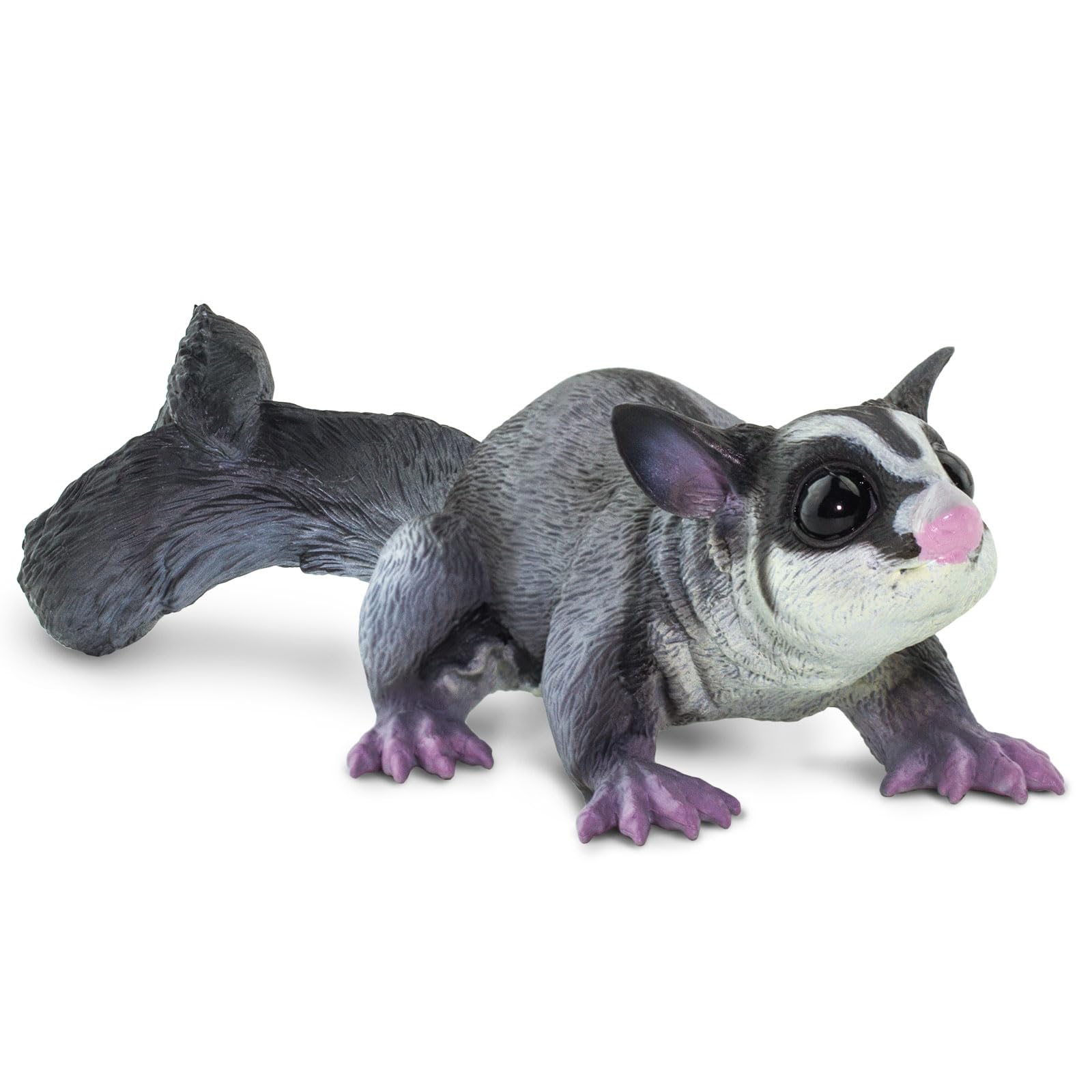 Safari Ltd. Sugar Glider Figurine - Hand-Painted, Lifelike Model Figure 6.75" - Fun Educational Marsupial Toy for Boys, Girls & Kids Ages 3+