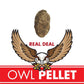 Copernicus Toys Real Owl Pellet kit Dissect Real owl pellets | Bone Chart Included