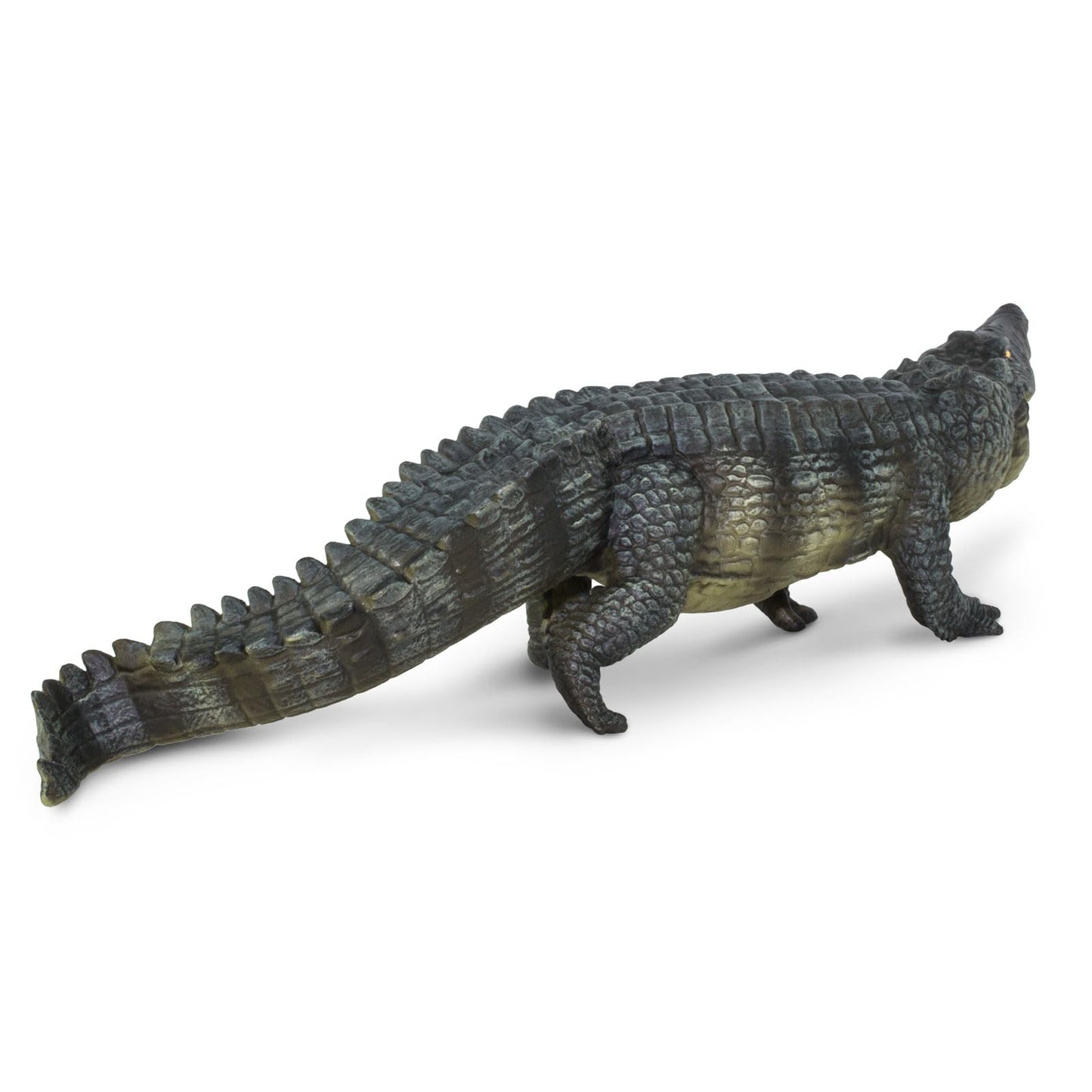 Safari Ltd. Saltwater Crocodile Figurine - Detailed 12" Plastic Model Figure - Fun Educational Play Toy for Boys, Girls & Kids Ages 18M+