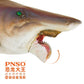 Lana Toys PNSO Helicoprion Haylee Figure Realistic Edestidae Shark PVC Collector Toys Animal Art Model Decoration Gift for Adult