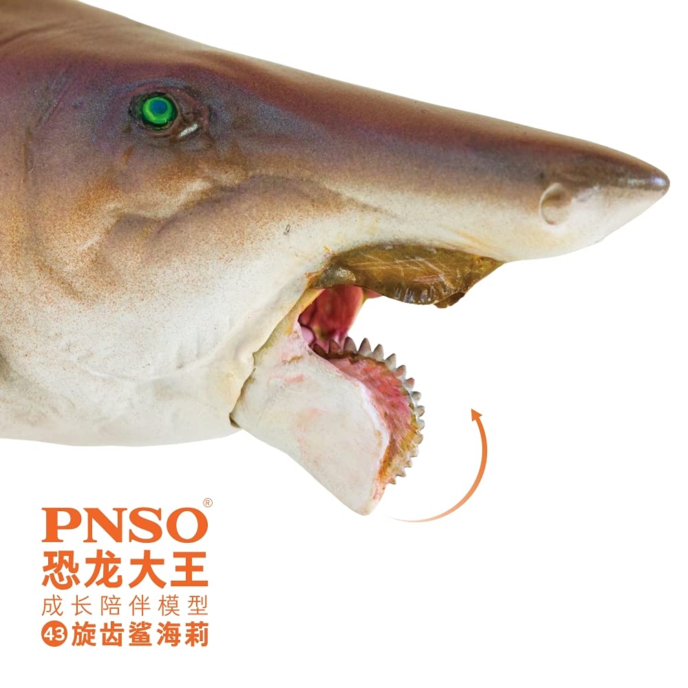 Lana Toys PNSO Helicoprion Haylee Figure Realistic Edestidae Shark PVC Collector Toys Animal Art Model Decoration Gift for Adult