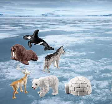 NatureMan Mini Arctic Animals Toys Set 10PCS Polar Animal Figurines Toy PlaysetIncludes Polar Bear Seal Reindeer Wolf Rabbit Arctic Fox Igloo