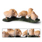 Fevoila Farm Animals Figures, 5 Piece Simulated Farm Chicken Animal Statue Realistic Chicken Farm Animals Figures Cake Topper, Chicken Model Easter