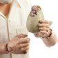 Jurassic World Toys Amber Collection John Hammond 6-in Action Figure, Swappable Hands & Head, Cane & Hatching Dinosaur Egg Accessories, Collectible