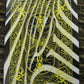 Zebra Deck Playing Cards by Bicycle Black White Striped